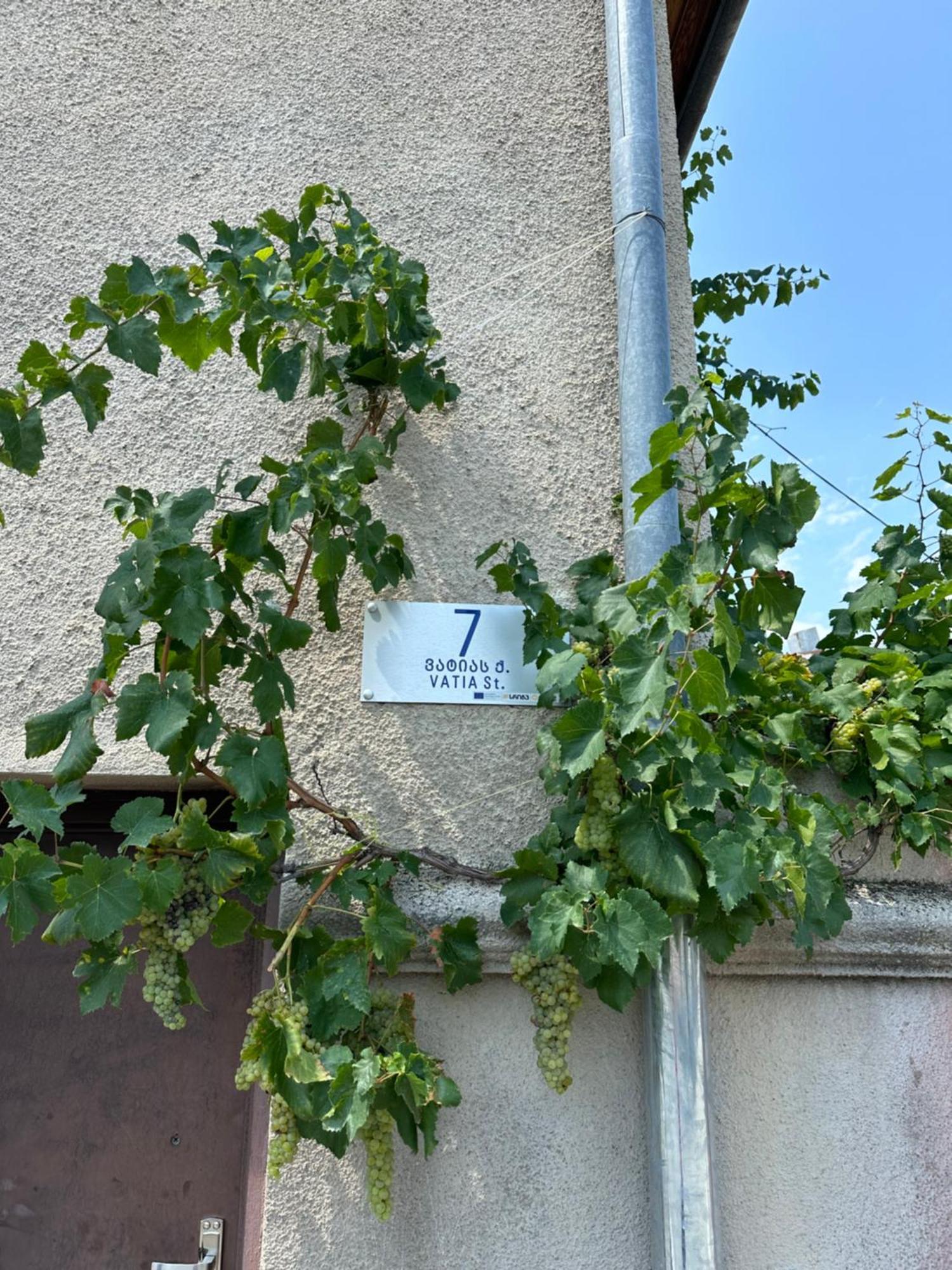 Guest House Kartuli Suli Telavi Exterior photo